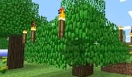 Torches used to be placed upon leaves in a very strange fashion